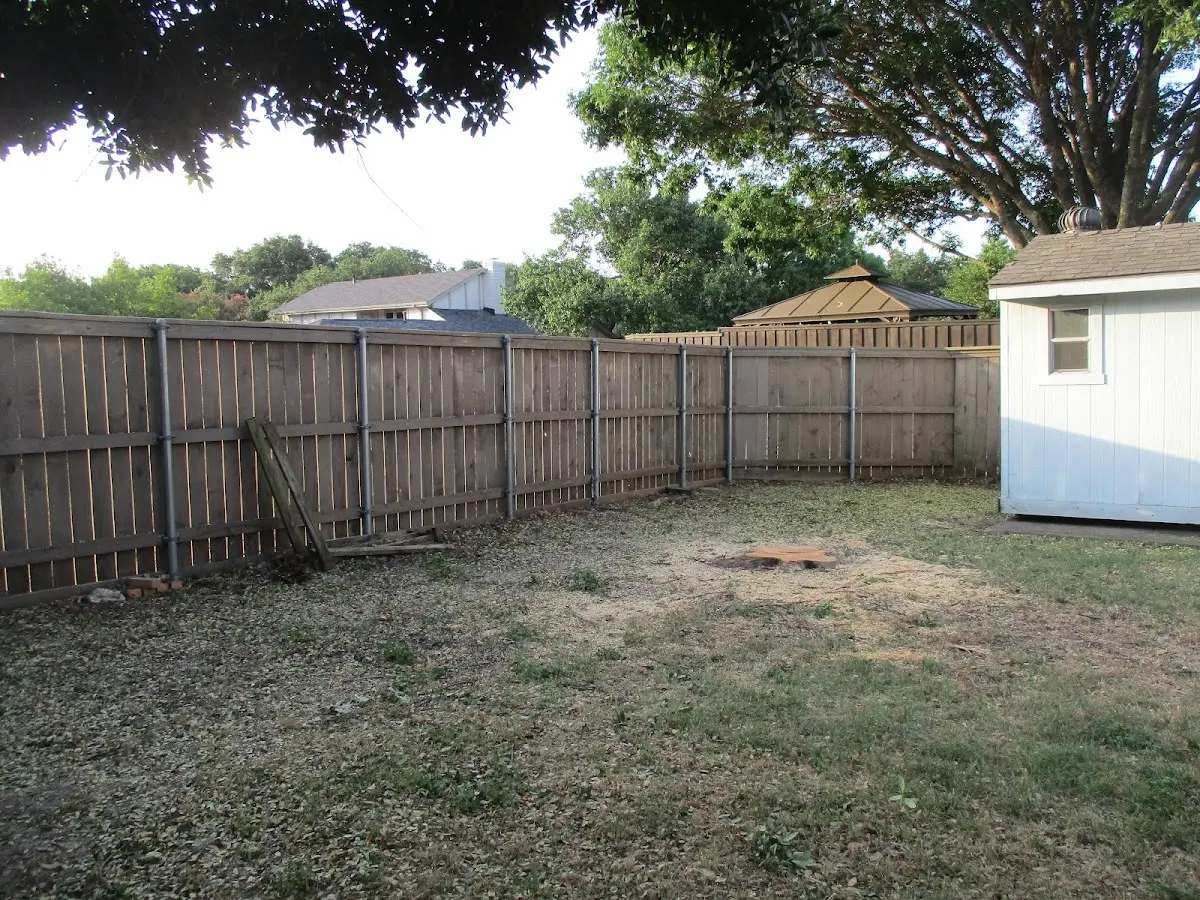 Cleared yard after professional tree removal in Wasco